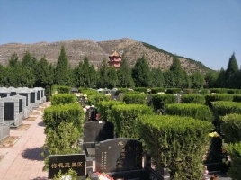 皇家龙山陵园环境